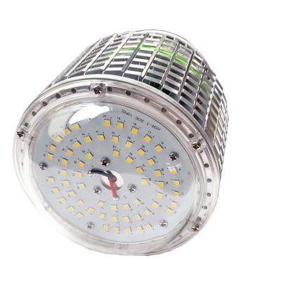 60W LED Eye Bulb