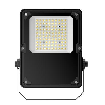 50W LED Flood Light